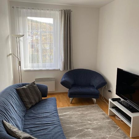 Apartman Radmila Лугачовице Экстерьер фото